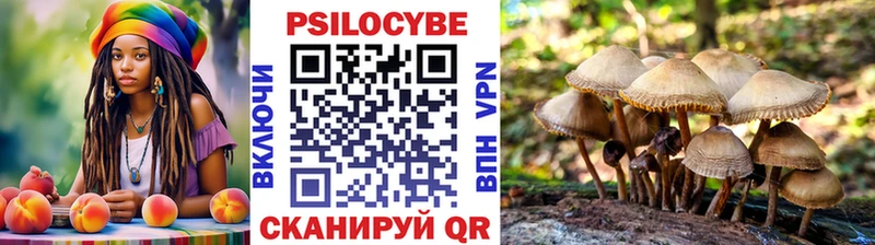 Галлюциногенные грибы Magic Shrooms Нерчинск