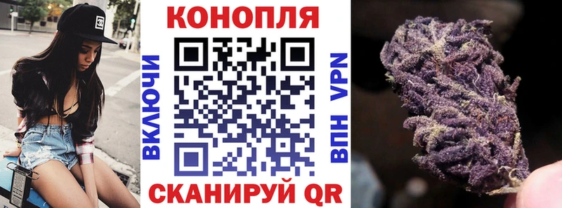 Бошки Шишки план Нерчинск